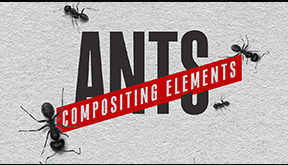 Ants Compositing Elements